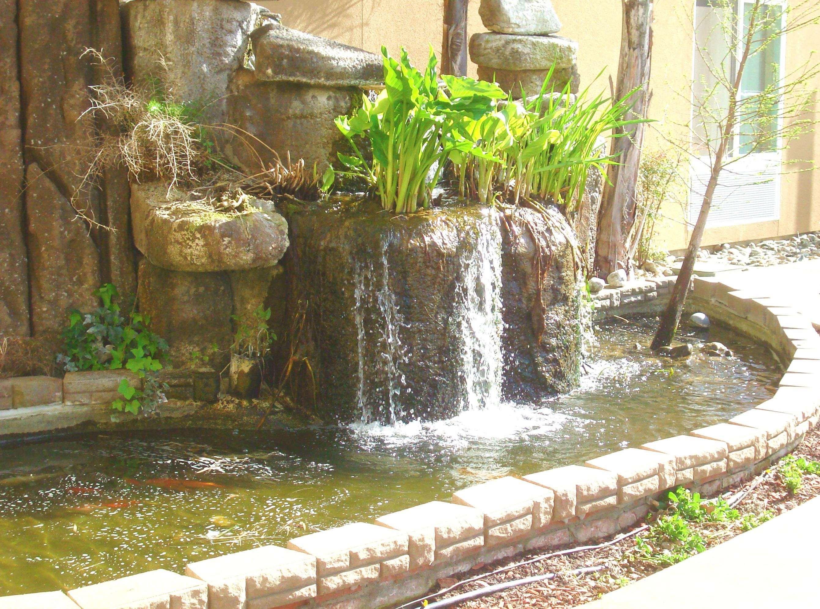 Hampton Inn & Suites Red Bluff Esterno foto